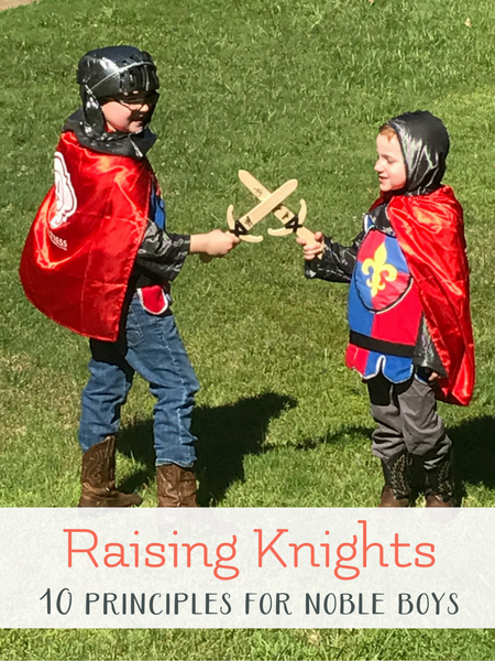 knights in training parenting review